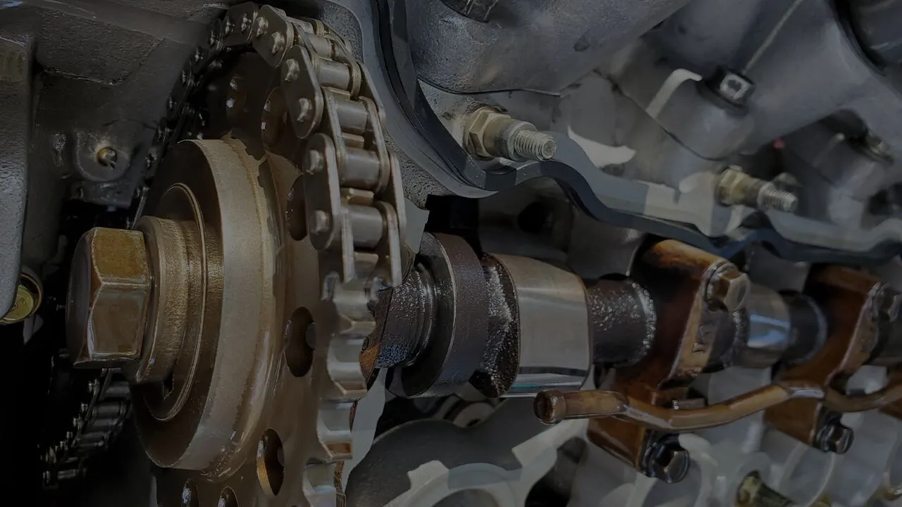 Chain Replacement